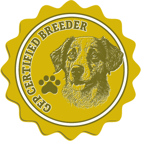 Greenfield Puppies Certified Badge