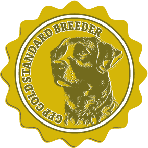 Gold Standard Dog Breeder Badge
