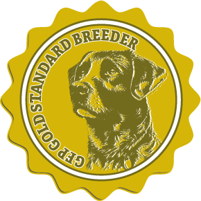 Samuel King - Dog Breeder - Greenfield Puppies