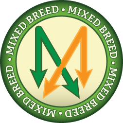 Mixed Breed Icon