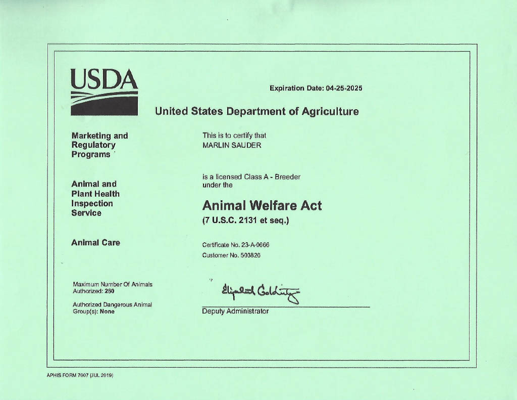 Christine Sauder Dog Breeder Greenfield Puppies