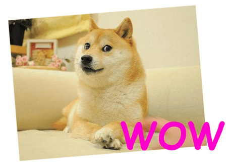 memorable dog memes - doge