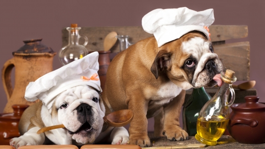 5 Safe Herbs and Spices for Dogs