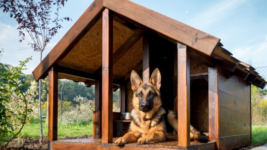 Dog House Ideas