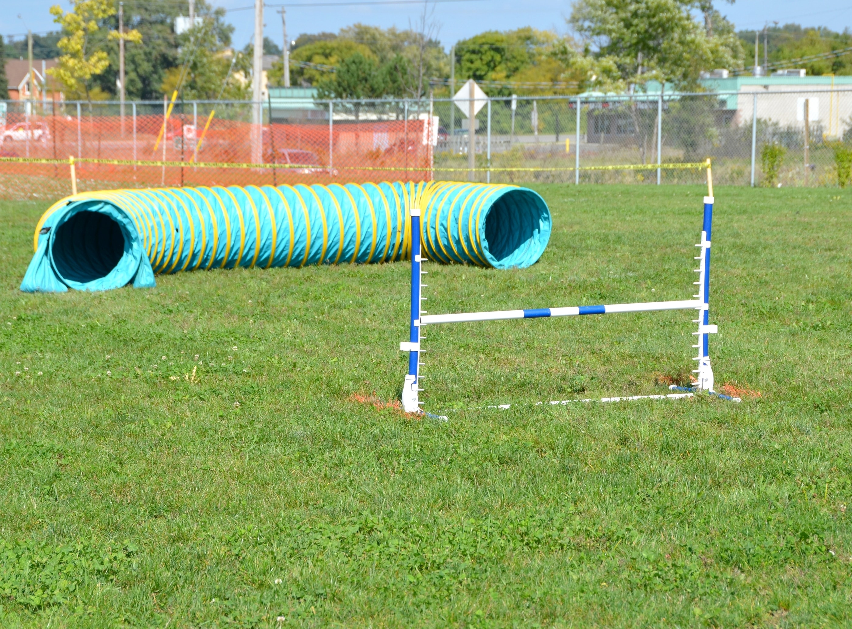 How to Train Your Dog to Run an Obstacle Course