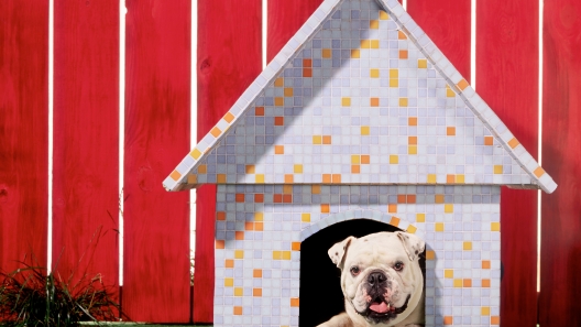 3 DIY Dog House Design Ideas