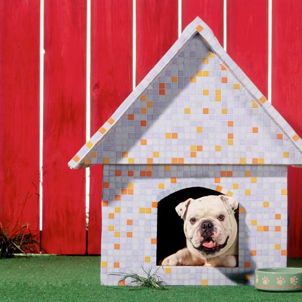 diy dog house design ideas - english bulldog in decorate dog house