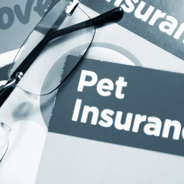 glasses on top of pet insurance booklets