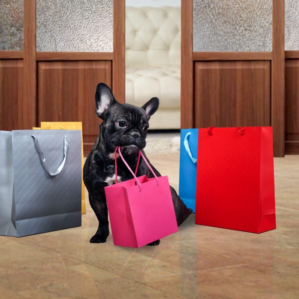 french bulldog surrounded by shopping bags
