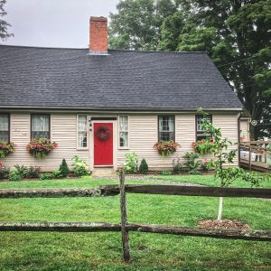 Rosetta Fisher, View Puppies Breeder