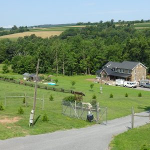 Elam Lapp Jr,  Breeder