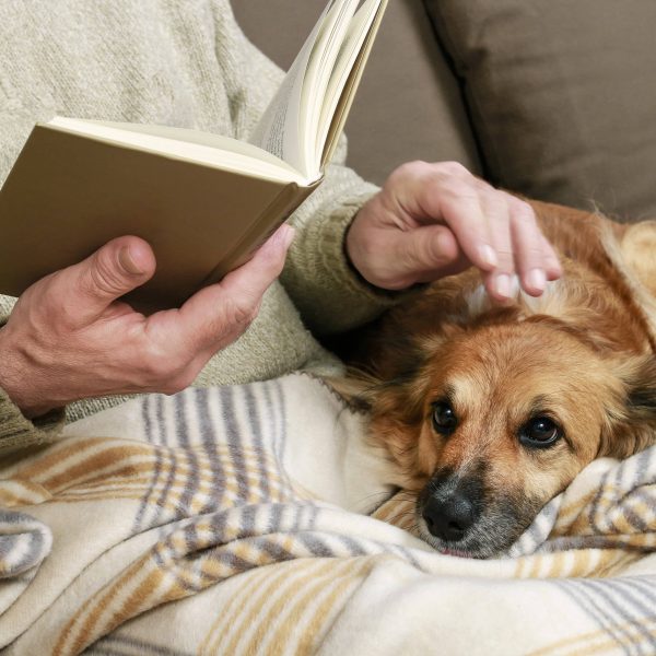 senior sitting on a couch reading a book with dog in their lap