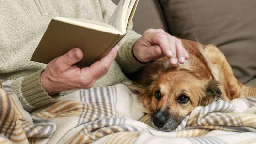 How Dogs Help the Elderly