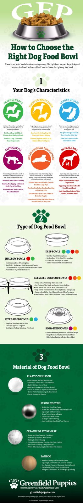 How to Choose the Right Dog Food Bowl - Infographic by Greenfield Puppies