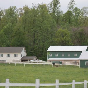 Jeanette Horning,  Breeder