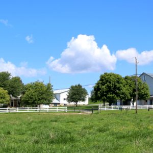 Leon & Linda King,  Breeder