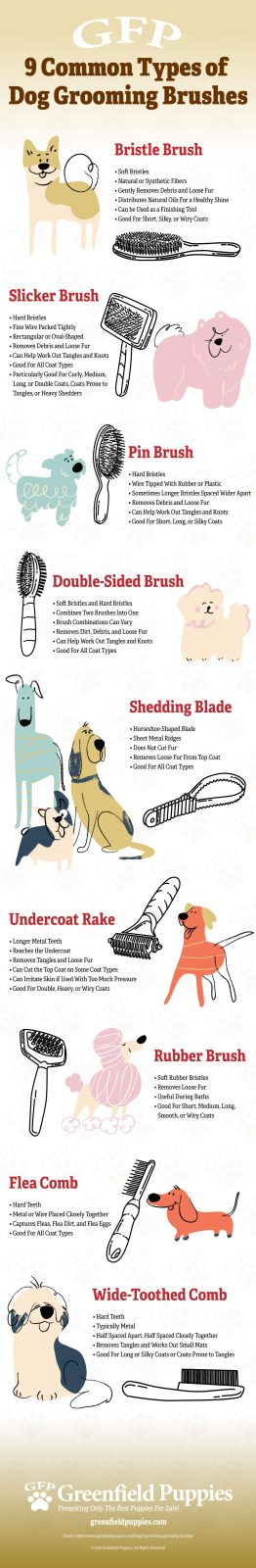 Common Types of Dog Grooming Brushes - Infographic by Greenfield Puppies