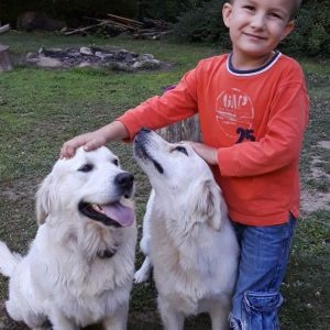 Marcus Wenger,  Breeder