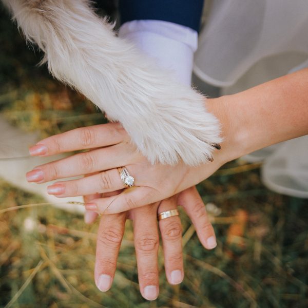 dog putting paws on top of hands wearing wedding rings