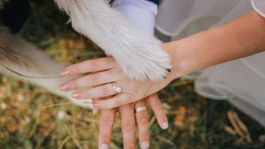 5 Ways to Include Your Dog in Your Wedding
