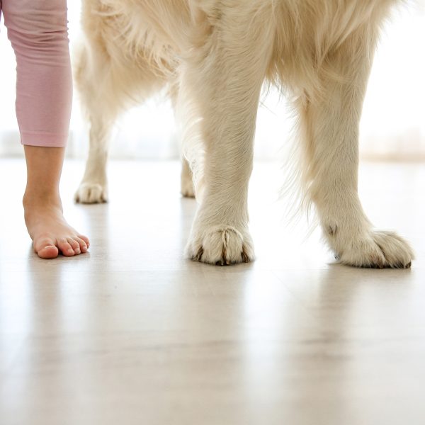 child and dog standing next to each other