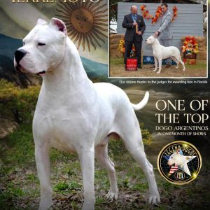 Mindy Grady,  Breeder