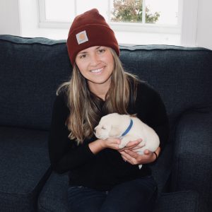 Laketrail Labradors,  Breeder