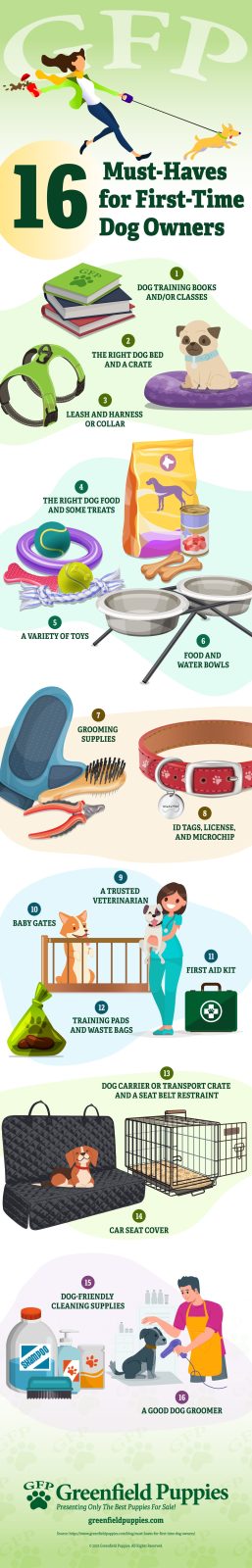 must-haves for first-time dog owners - infographic by Greenfield Puppies