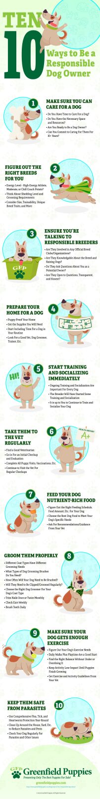 Ways to Be a Responsible Dog Owner - Infographic by Greenfield Puppies