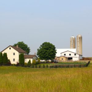 Hobby Ag,  Breeder