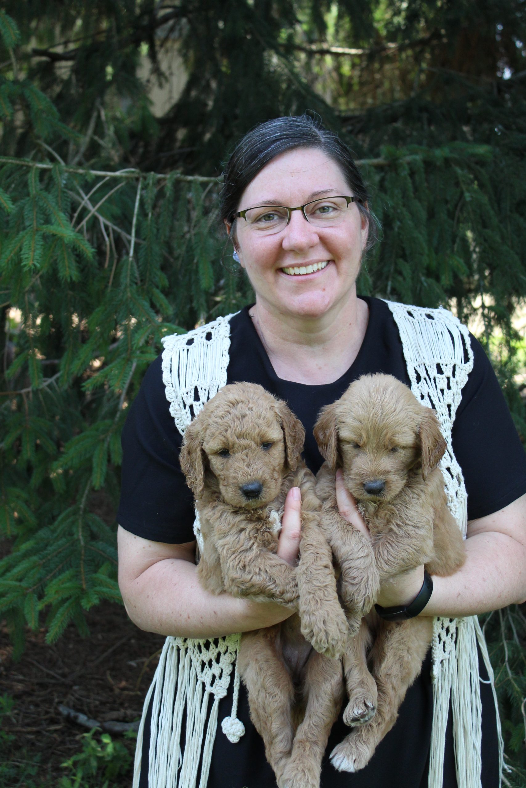Greenfield Puppies Com - zd8wwa0