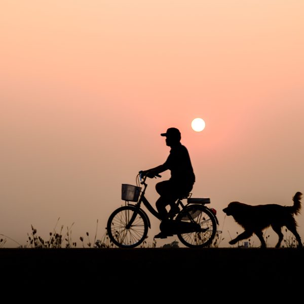 sunset silouhette of man biking with dog