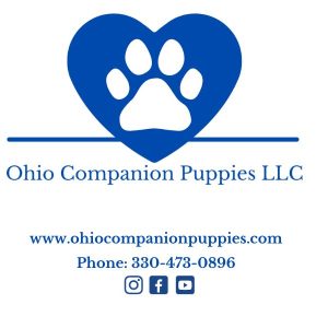 Ohio Companion Puppies LLC, View Puppies Breeder