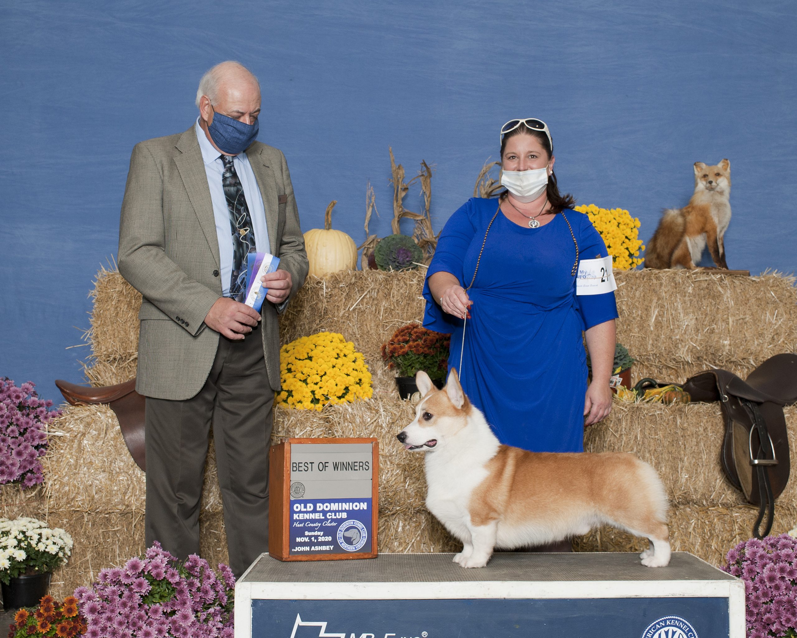 Danny Lee Greenfield Puppies