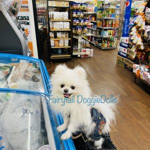 Diva Moiselle,  Breeder