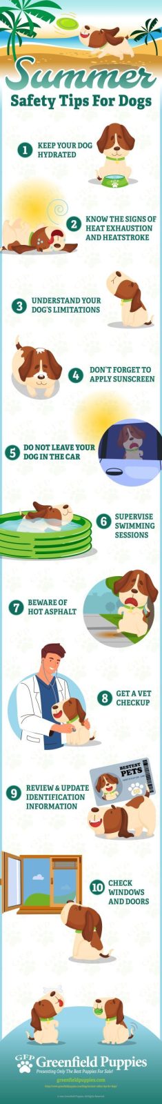 Summer Safety Tips For Dogs - Infographic by Greenfield Puppies