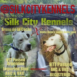 Silk City Kennels,  Breeder