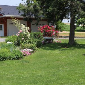 Allen & Esther Burkholder,  Breeder