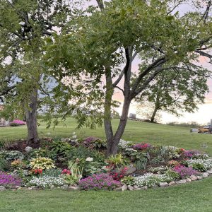 Jonathan & Lillian Horning,  Breeder