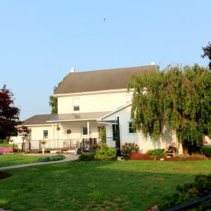 Leroy & Fannie Stoltzfus,  Breeder