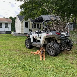 Makayla Kingston, View PuppiesView Puppies Breeder