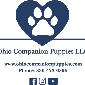 Ohio Companion Puppies LLC, View Puppies Breeder