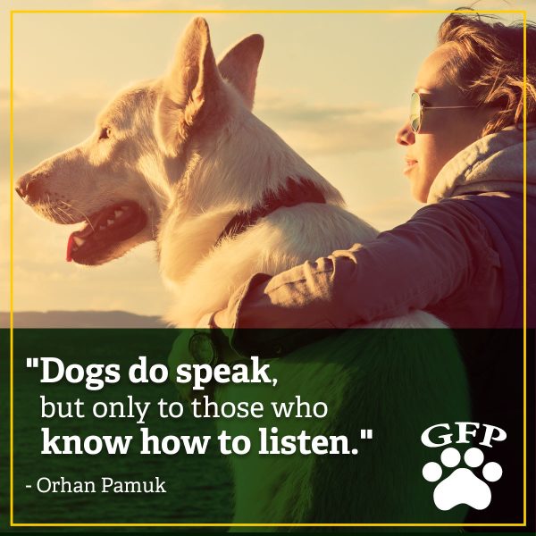 dogs do speak but only to those who know how to listen quote by orhan pamuk