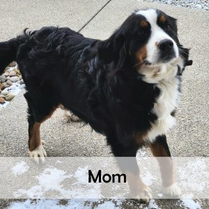 mom