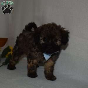 Batman, Forever Puppy