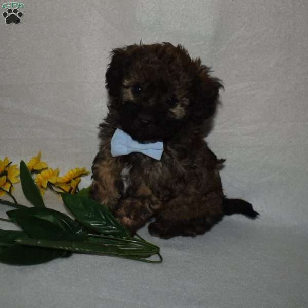 Batman, Forever Puppy