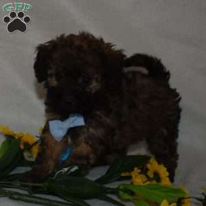 Batman, Forever Puppy