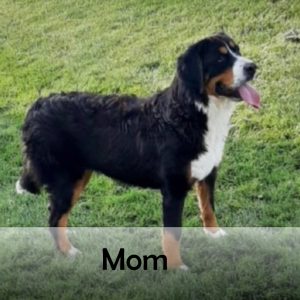 mom
