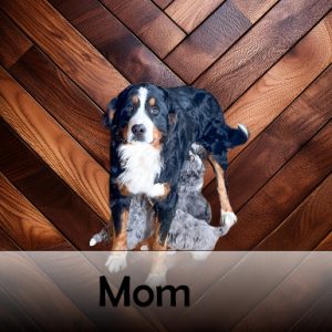 mom