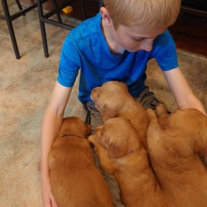 Melissa Newswanger,  Breeder